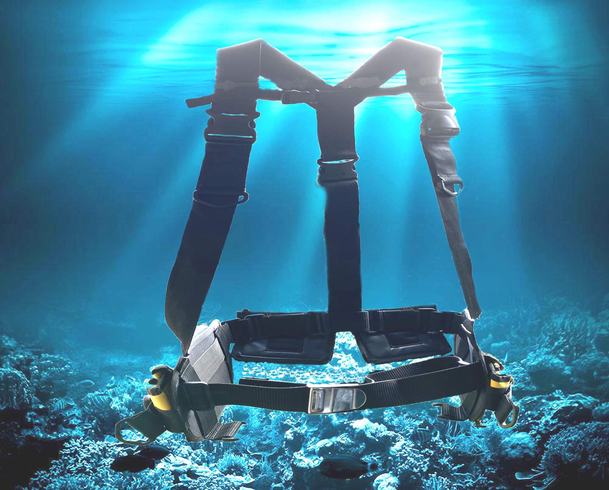AKM Scuba Diving AdjustableCubHolidayWeight harness Sports (2020 version)