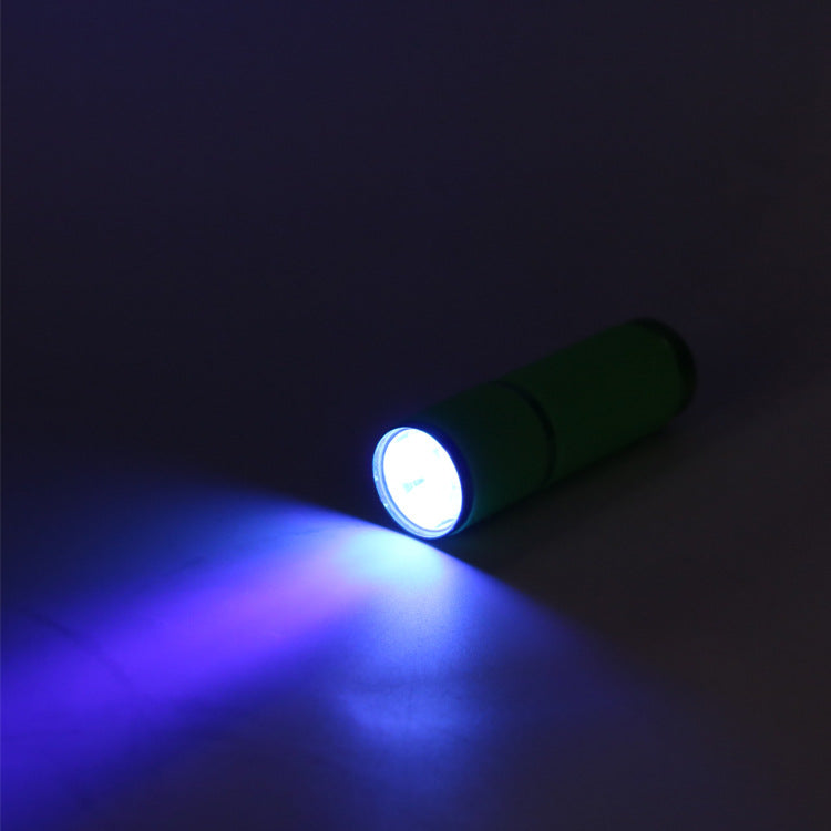 Luminous UV Flashlight with 9 LED Lights for Detection